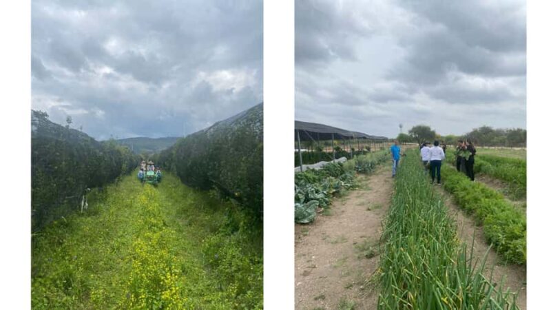 From Monterrey: Visits to the Organic Gardens - From Monterrey: Visits to the Organic Gardens – A Practical Guide to Sustainable Living