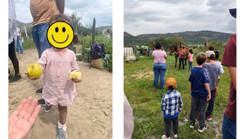 From Monterrey: Visits to the Organic Gardens - Practical Details and What to Know