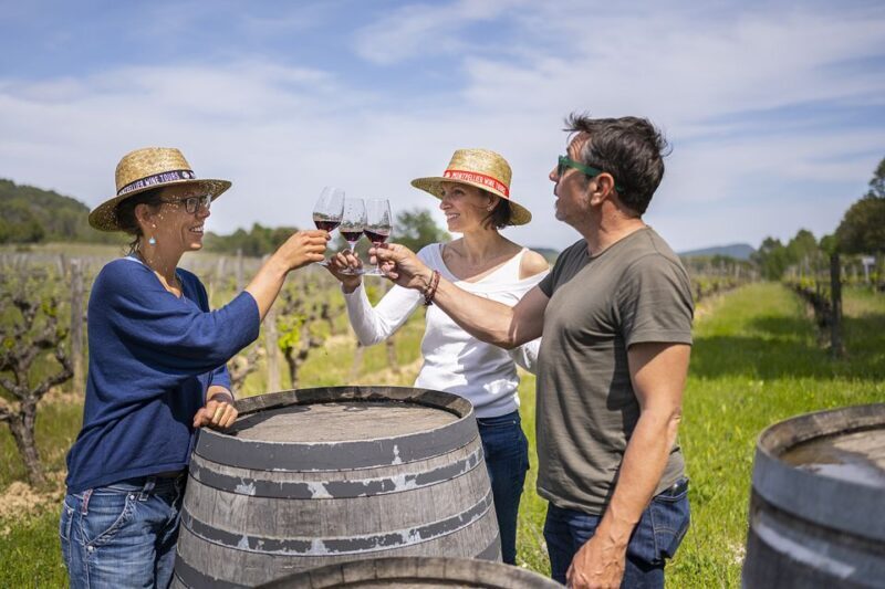 From Montpellier: Half-Day Vineyard & Pic Saint-Loup Tour - A Close Look at the Experience
