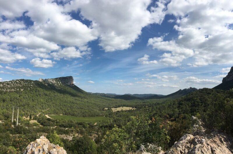 From Montpellier: Half-Day Vineyard & Pic Saint-Loup Tour - Final Thoughts