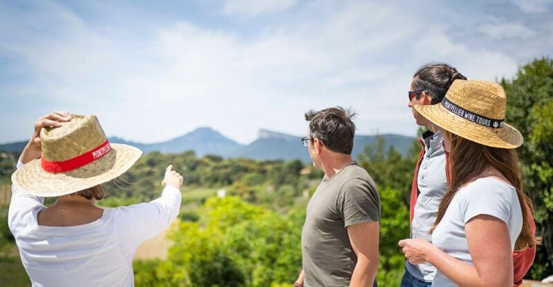 From Montpellier: Half-Day Vineyard & Pic Saint-Loup Tour - FAQs