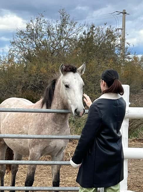 From Montpellier: Visit of Camargue and Aigues-Mortes - From Montpellier: Visit of Camargue and Aigues-Mortes