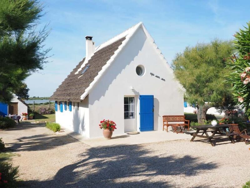 From Montpellier: Visit of Camargue and Aigues-Mortes - Who Will Love This Tour?