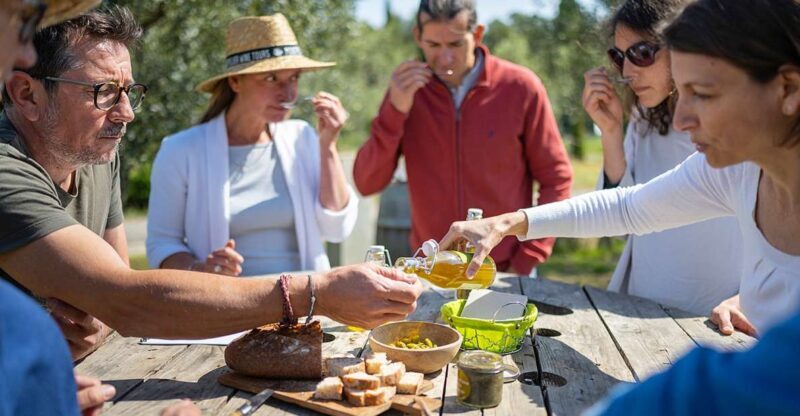 From Montpellier: Wine and Olive Tour - What to Expect at Each Stop