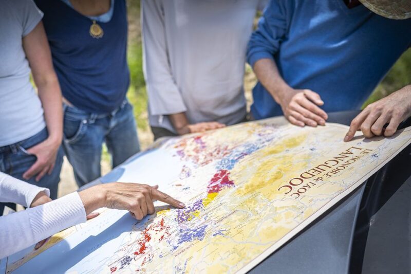 From Montpellier: Wine and Olive Tour - The Practical Details