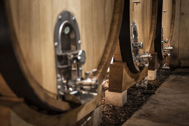 From Montpellier: Wine and Olive Tour - Why This Tour Matters for Travelers