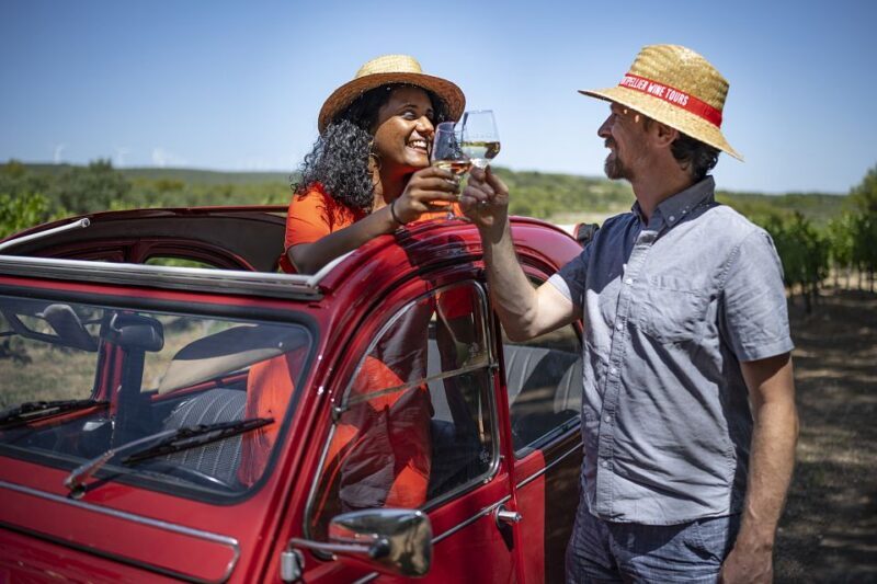 From Montpellier: Winery Tour in a Vintage Citroën 2CV - A Deep Dive into the Vintage Wine Tour Experience