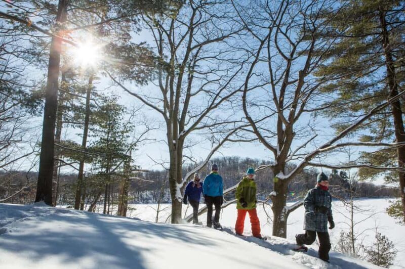 From Montreal: Mont-Saint-Bruno National Park Snowshoe Hike - What to Expect on Your Day