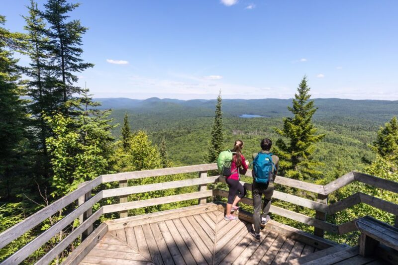 From Montreal: Mont-Tremblant National Park Hiking Day Trip - An Authentic Day in Nature: The Full Experience