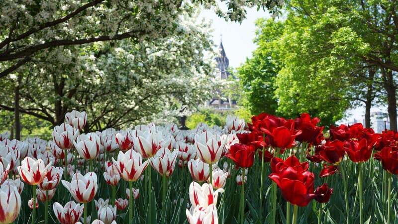 From Montreal: Private Ottawa Full Day Tour - Exploring the Itinerary in Detail