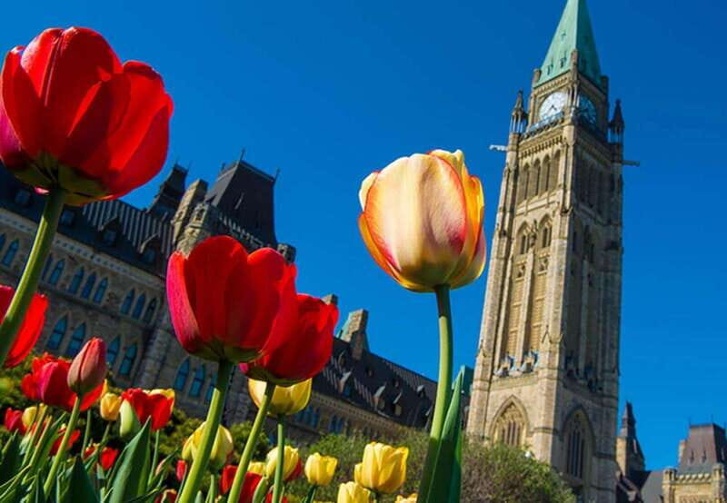 From Montreal: Private Ottawa Full Day Tour - Who Would Enjoy This Tour?