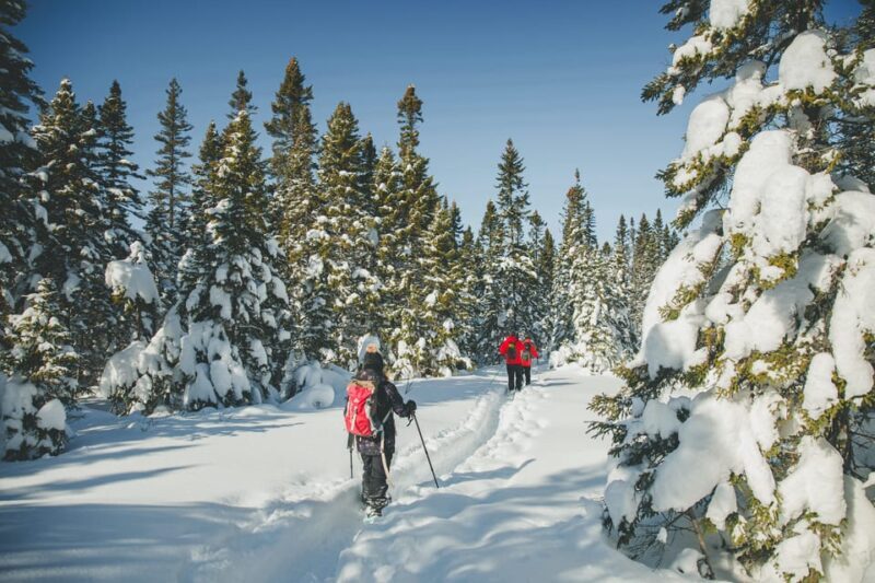 From Montreal: Sept-Chutes Regional Park Hike and Swim - Who Is This Tour Best For?
