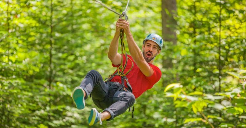 From Montreal: Treetop Trek, Ziplines + beach or waterfall. - From Montreal: Treetop Trek, Ziplines + Beach or Waterfall – A Practical Adventure for Nature Enthusiasts