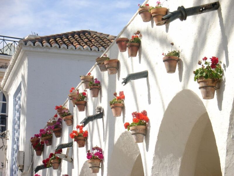 From Motril: Nerja, Frigiliana and Caves Private Tour - Who Will Love This Tour?