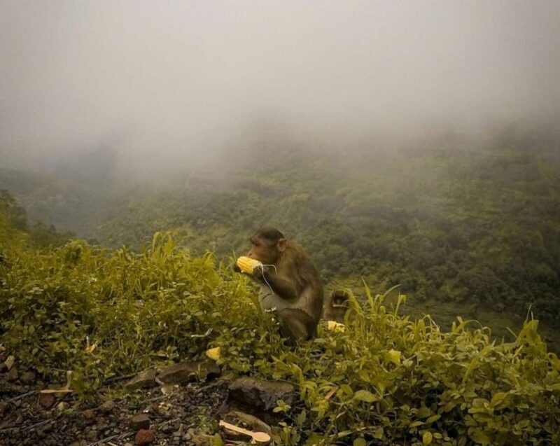 From Mumbai: Lonvala Hill Station & Tiger Point Private Tour - Final Thoughts