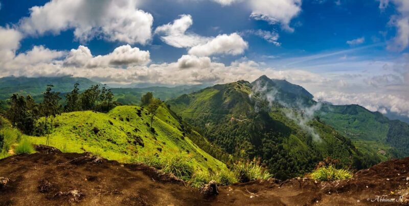 From Munnar: Letchmi Hills Trek Nature Walk Half Day Tour - Who Will Love This Tour?