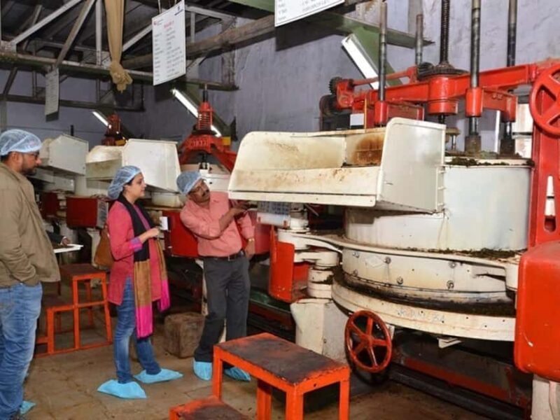 From Munnar: Tea Factory, Plantation, and National Park Tour - Key Points