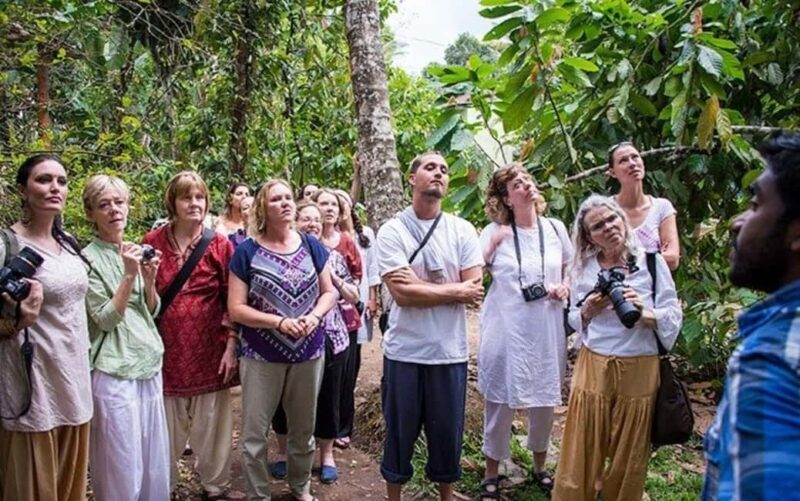 From Munnar: Tea Factory, Plantation, and National Park Tour - Authentic Experience and Genuine Value