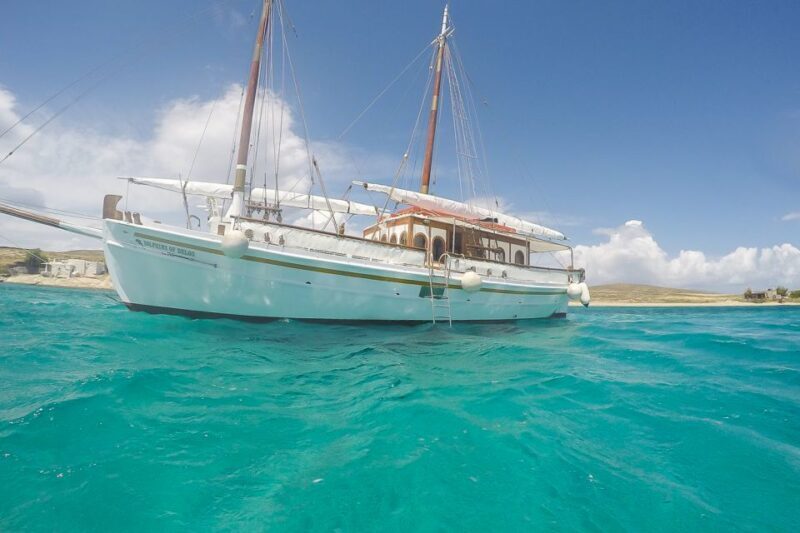 From Mykonos: Delos & Rhenia Islands Half-Day Trip by Boat - FAQ