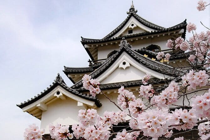 From Nagoya: Castles and Canals in Hikone and Omi Hachiman - A Detailed Look at the Tour Experience