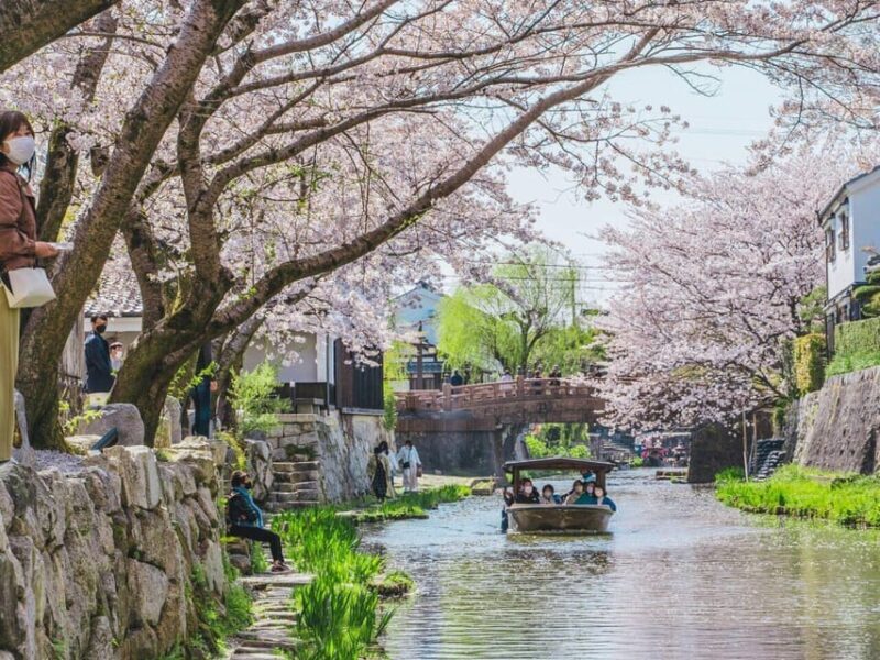 From Nagoya: Castles and Canals in Hikone and Omi Hachiman - Key Points
