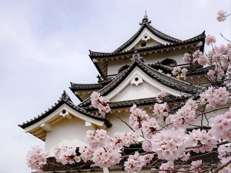 From Nagoya: Castles and Canals in Hikone and Omi Hachiman - What Makes This Tour Stand Out?