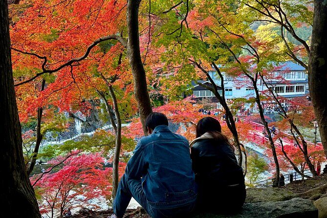 From Nagoya: Discover Aichi  Korankei, Miso, & Inari Shrine - In-Depth Review of the Tour Experience