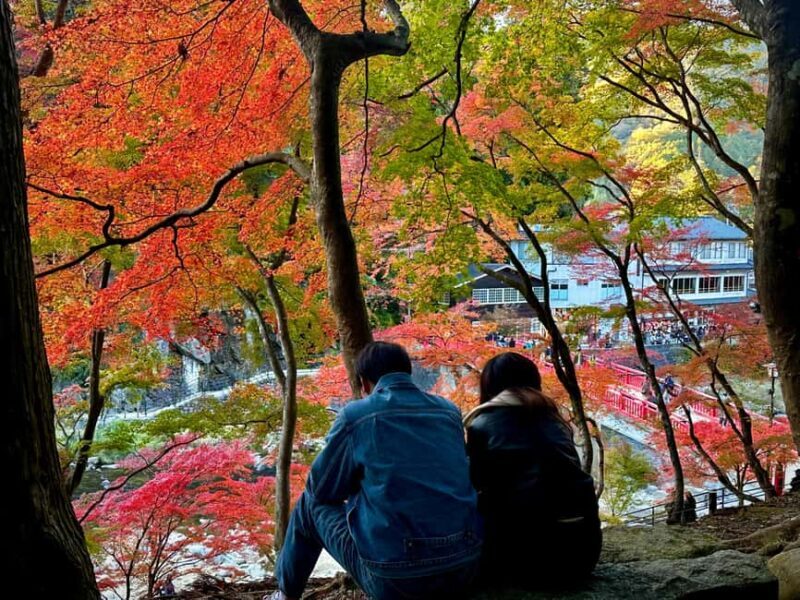 From Nagoya: Discover Aichi  Korankei, Miso, & Inari Shrine - Who Should Consider This Tour?