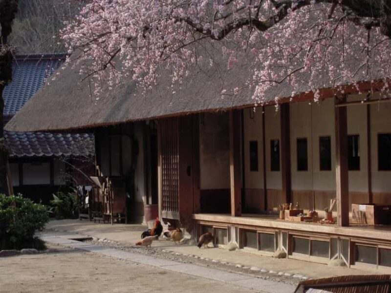 From Nagoya: Discover Aichi  Korankei, Miso, & Inari Shrine - Frequently Asked Questions