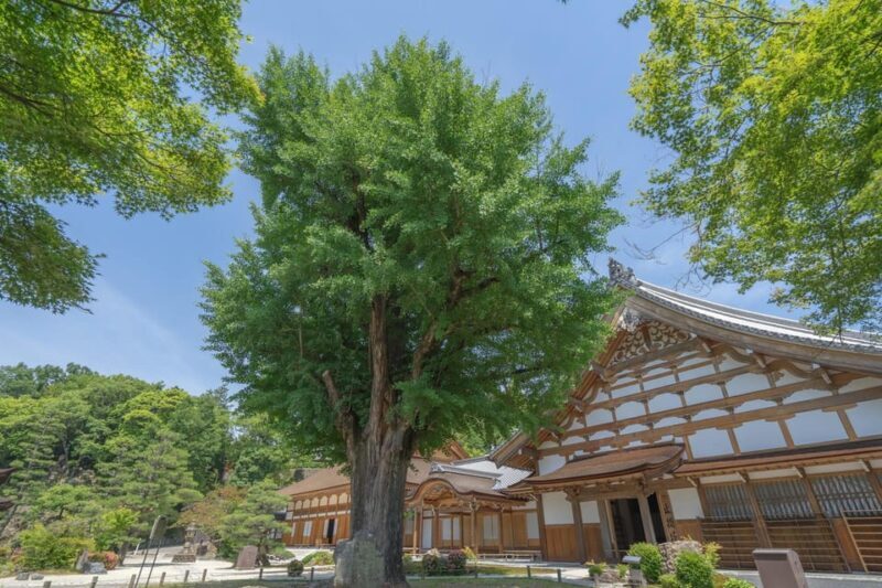 From Nagoya: Enakyo, Magome-juku & Tsumago-juku 1D Bus Tour - Who Should Consider This Tour?