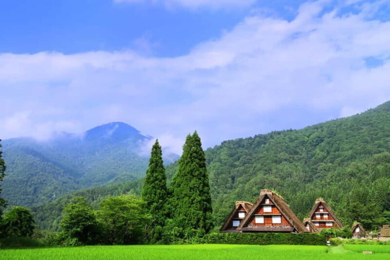 From Nagoya: Gujo, Hida Takayama, and Shirakawa-go Day Tour - What the Tour Includes and How It Performs