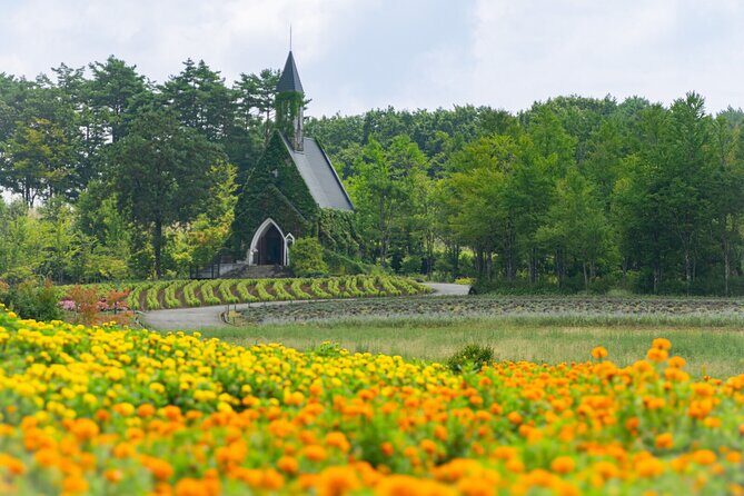 From Nagoya: Kamikochi - Enchanting Landscapes - Small Group Tour - Key Points