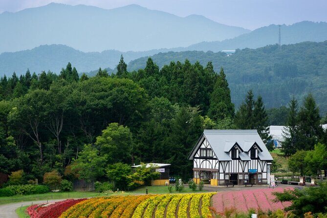 From Nagoya: Kamikochi - Enchanting Landscapes - Small Group Tour - Detailed Review of the Kamikochi Small Group Tour from Nagoya