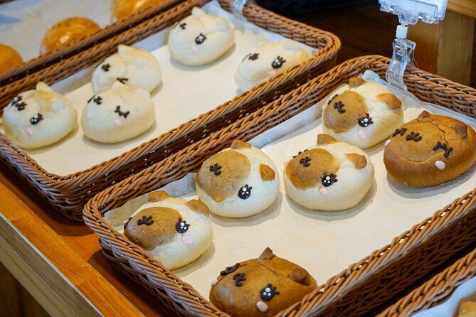 From Nagoya: Kamikochi - Enchanting Landscapes - Small Group Tour - The Sum Up: Who Will Love This Tour?