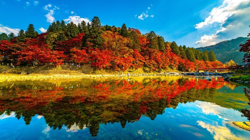 From Nagoya: Korankei Gorge &Toyokawa Inari - Key points to know before you go