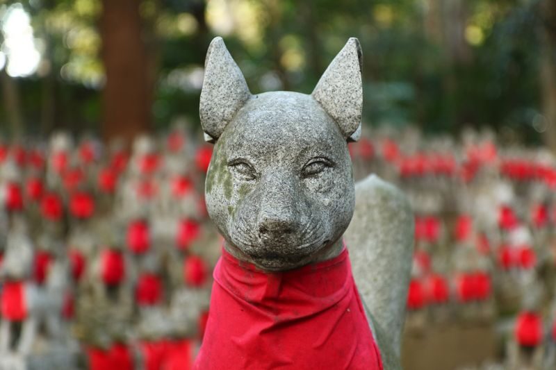 From Nagoya: Korankei Gorge &Toyokawa Inari - A full day beyond Nagoya