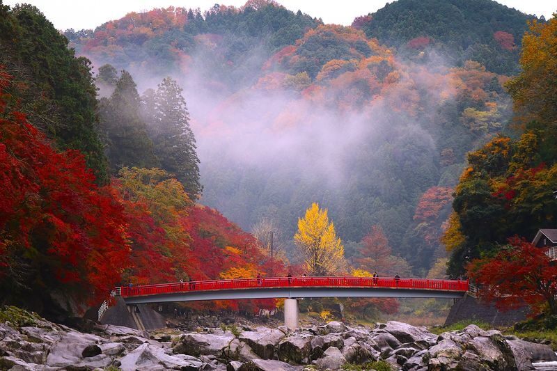 From Nagoya: Korankei Gorge &Toyokawa Inari - Hatcho Miso: a taste of Aichi’s food culture