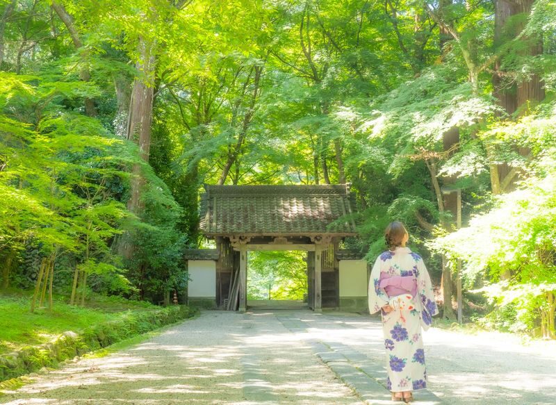 From Nagoya: Korankei Gorge &Toyokawa Inari - Korankei’s maple paths and rural Asuke