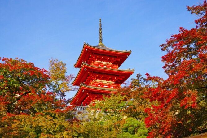 From Nagoya Kyoto Day Tour with Kobe Beef Shabu Shabu Lunch - Key Points