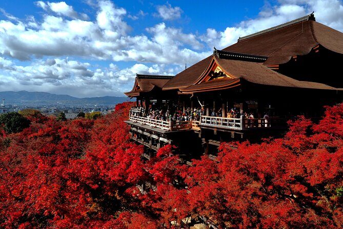 From Nagoya Kyoto Day Tour with Kobe Beef Shabu Shabu Lunch - Who Is This Tour Best For?