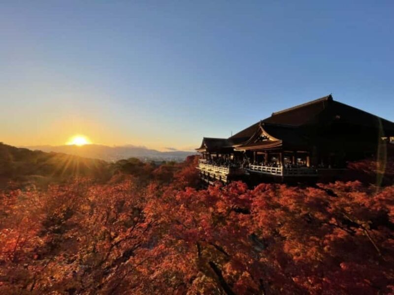 From Nagoya: Kyoto Day Tour with Pork Shabu-Shabu Lunch - Who Is This Tour Best For?
