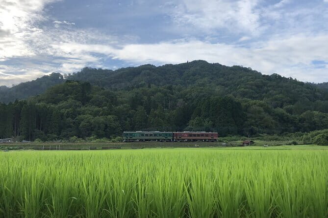 From Nagoya: Myths and Mystery of Ninja and the Tokaido Road - The Full Experience: A Balanced Look at the Ninja and Tokaido Tour