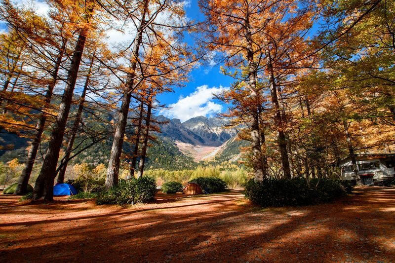 From Nagoya; one-day bus tour to Kamikochi - Language, meals and small practical choices