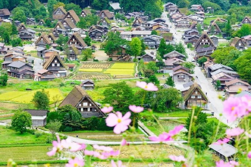 From Nagoya: Shirakawa-go & Hida-Takayama Full Day Trip - Key Points