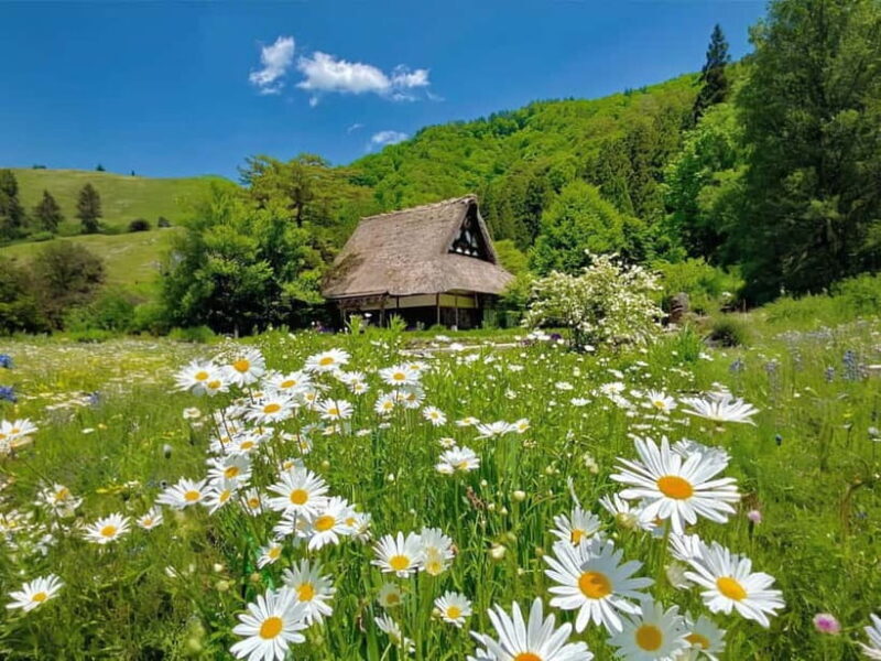 From Nagoya: Shirakawa-go UNESCO Village Day Trip w/ Pickup - The Sum Up