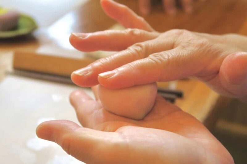 From Nagoya: Wagashi Workshop & Matcha Tea Field Tour - What Makes This Tour Stand Out?