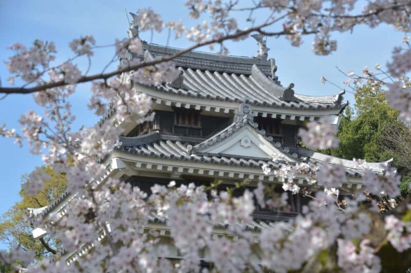 From Nagoya: Wagashi Workshop & Matcha Tea Field Tour - FAQ