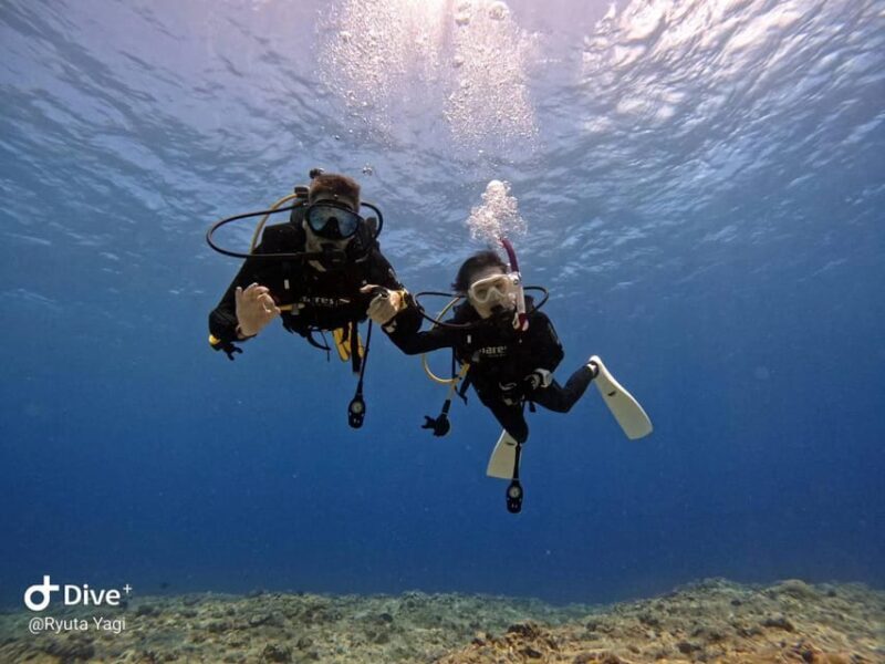 From Naha Scuba Diving Trip in Kerama(for certified divers) - Who Should Consider This Tour?