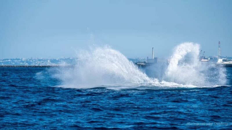 From Naha Whale Watching (Naha city Pickup) English guide - An Honest Look at the Experience