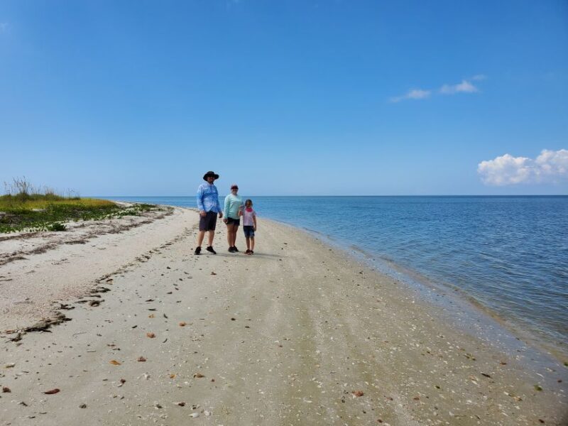 From Naples: 10,000 Islands Boat Trip & Everglades Walk! - Who Should Consider This Tour?